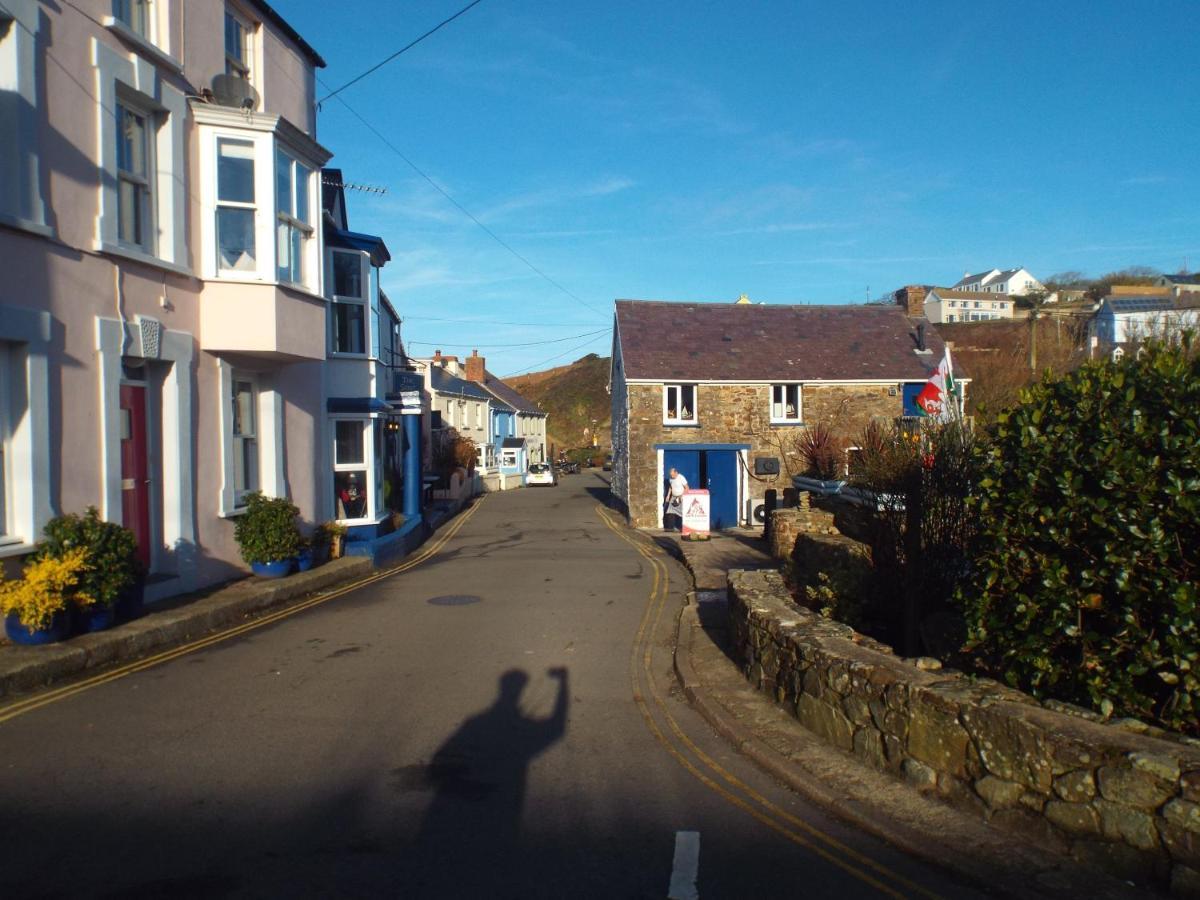 Pendyffryn Manor Bed & Breakfast Little Haven Экстерьер фото
